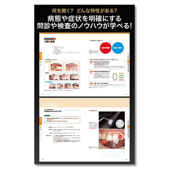 682 ビジュアル歯内療法学 生物学的コンセプトとテクニックのすべて